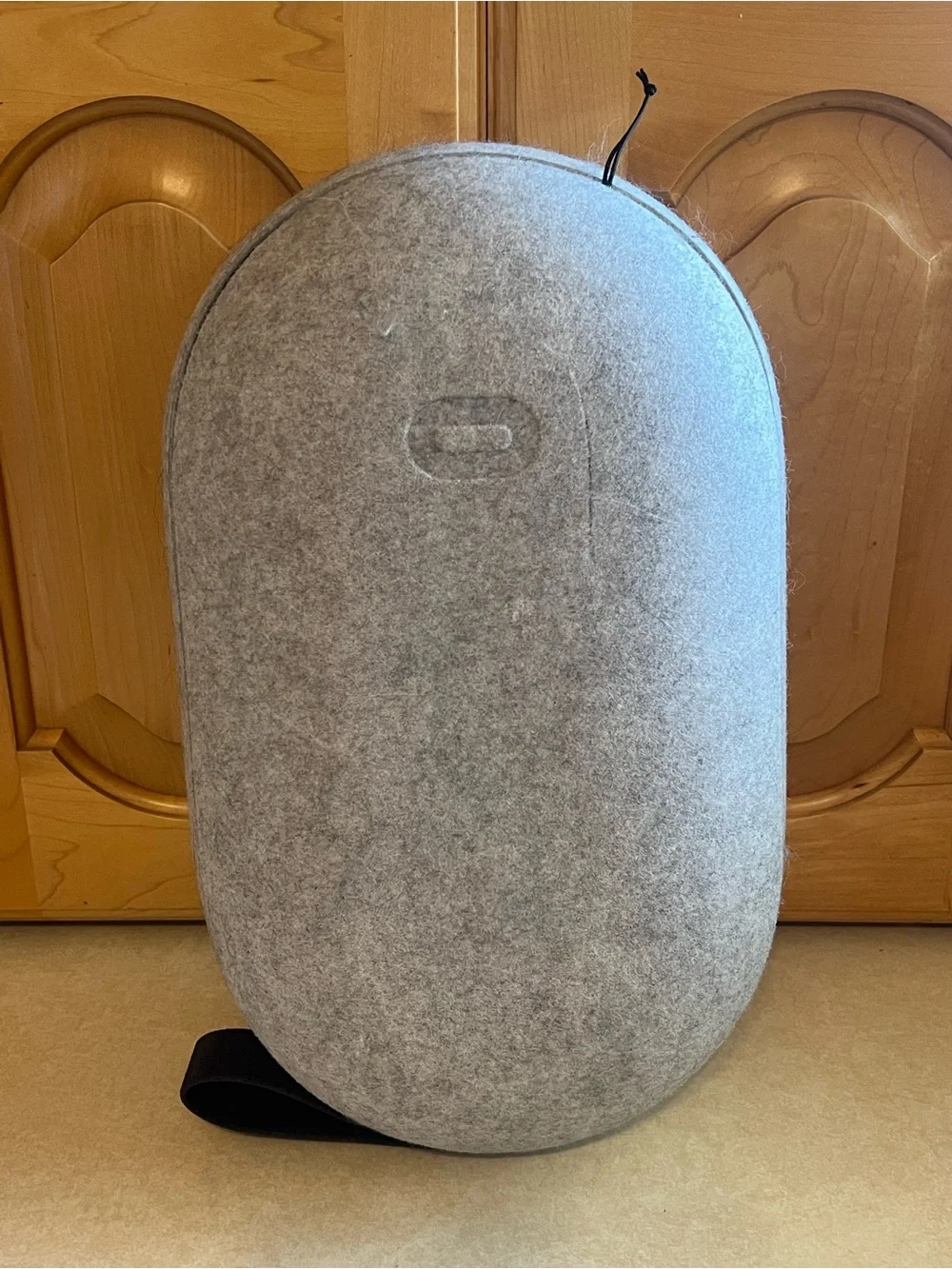 Quest 2 VR Headset CASE ONLY